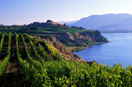 Wine Festivals in the Okanagan